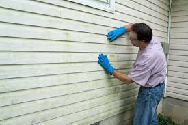 Best Siding Painting and Refinishing  in Deshler, OH